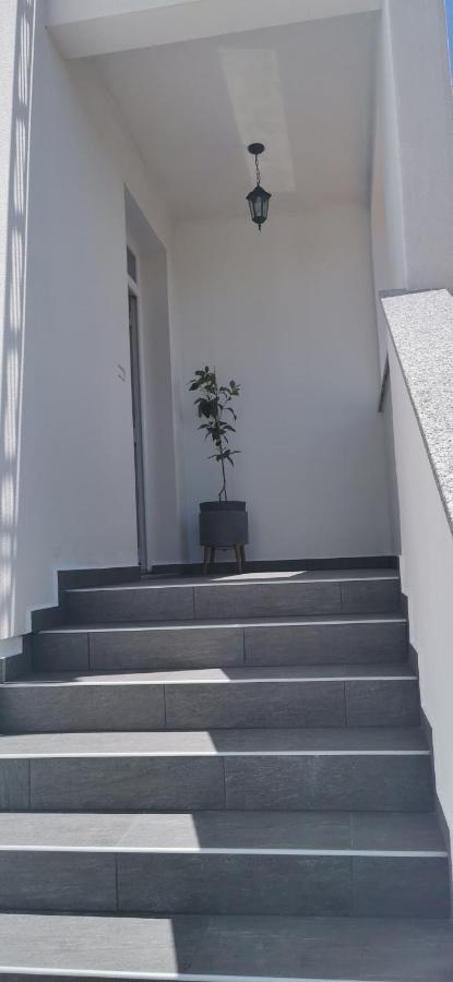 Apartments Angeline Rovinjsko Selo Dış mekan fotoğraf