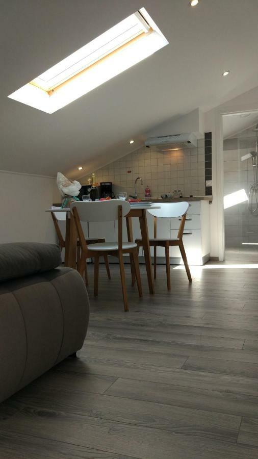 Apartments Angeline Rovinjsko Selo Dış mekan fotoğraf